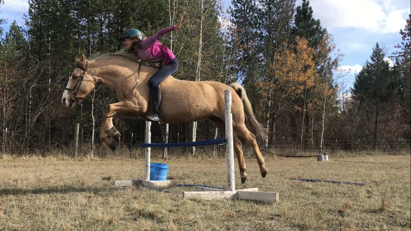 Saddled vs. Bareback; Which Is Better?